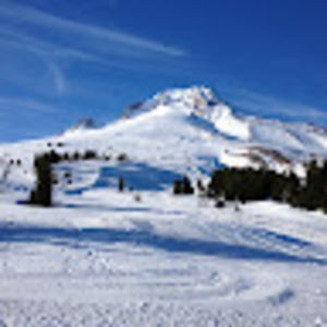 Meet your Posher, Chrisandginger